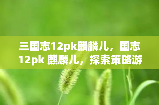 三国志12pk麒麟儿,国志12pk 麒麟儿,探索策略游戏的深度与广度 三国志12pk麒麟儿,国志12pk 麒麟儿,探索策略游戏的深度与广度