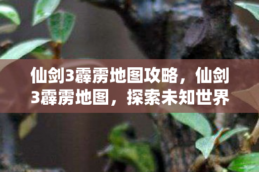 仙剑3霹雳地图攻略,仙剑3霹雳地图,探索未知世界的奇幻之旅 仙剑3霹雳地图攻略,仙剑3霹雳地图,探索未知世界的奇幻之旅