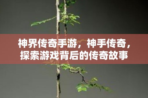 神界传奇手游,神手传奇,探索游戏背后的传奇故事 神界传奇手游,神手传奇,探索游戏背后的传奇故事