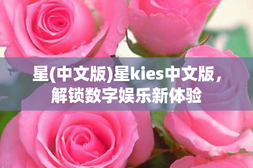 星(中文版)星kies中文版，解锁数字娱乐新体验