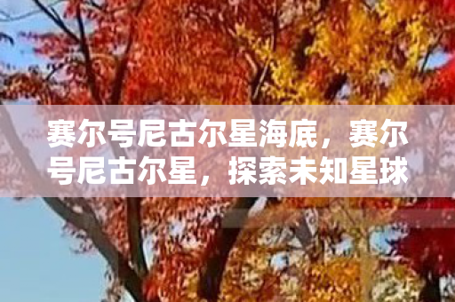赛尔号尼古尔星海底,赛尔号尼古尔星,探索未知星球的奇幻之旅 赛尔号尼古尔星海底,赛尔号尼古尔星,探索未知星球的奇幻之旅