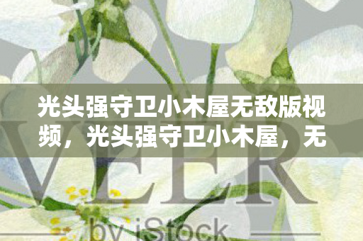 光头强守卫小木屋无敌版视频,光头强守卫小木屋,无敌版新挑战,策略与勇气的双重考验 光头强守卫小木屋无敌版视频,光头强守卫小木屋,无敌版新挑战,策略与勇气的双重考验