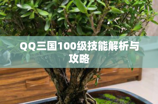 QQ三国100级技能解析与攻略 QQ三国100级技能解析与攻略