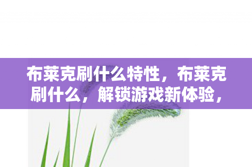 布莱克刷什么特性,布莱克刷什么,解锁游戏新体验,探索无限可能 布莱克刷什么特性,布莱克刷什么,解锁游戏新体验,探索无限可能