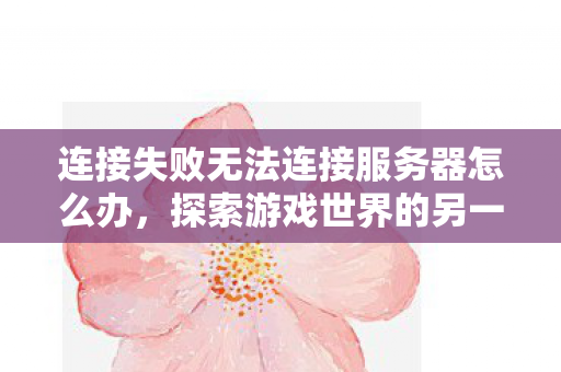 连接失败无法连接服务器怎么办,探索游戏世界的另一面,深度解析游戏服务器的奥秘 连接失败无法连接服务器怎么办,探索游戏世界的另一面,深度解析游戏服务器的奥秘