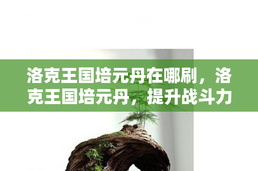 洛克王国培元丹在哪刷,洛克王国培元丹,提升战斗力的神秘丹药 洛克王国培元丹在哪刷,洛克王国培元丹,提升战斗力的神秘丹药