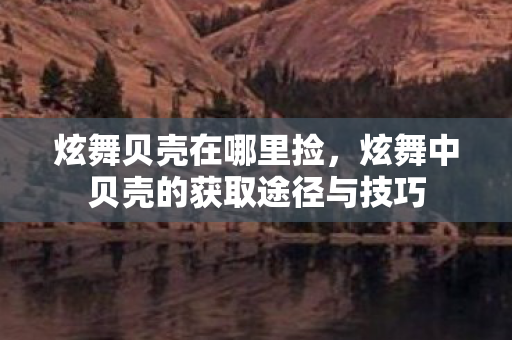 炫舞贝壳在哪里捡,炫舞中贝壳的获取途径与技巧 炫舞贝壳在哪里捡,炫舞中贝壳的获取途径与技巧