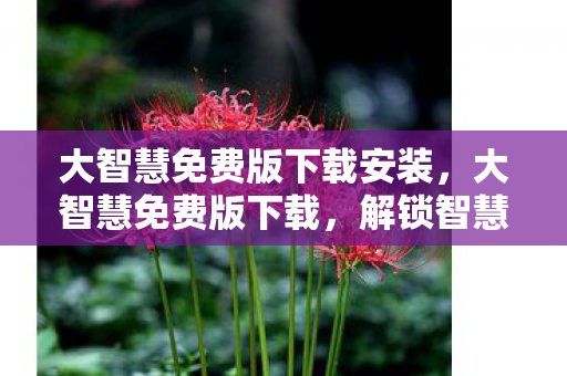 大智慧免费版下载安装,大智慧免费版下载,解锁智慧投资新体验 大智慧免费版下载安装,大智慧免费版下载,解锁智慧投资新体验