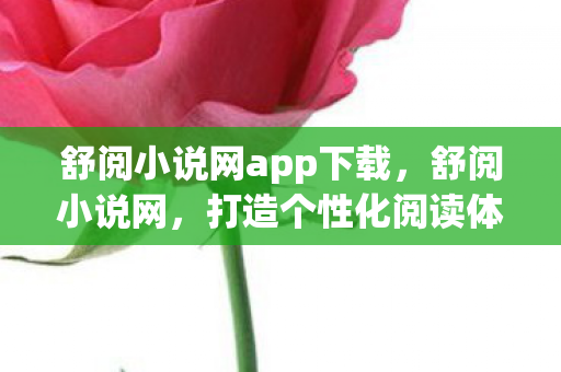 舒阅小说网app下载，舒阅小说网，打造个性化阅读体验，尽享文学盛宴