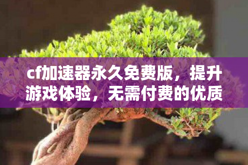 cf加速器永久免费版，提升游戏体验，无需付费的优质选择