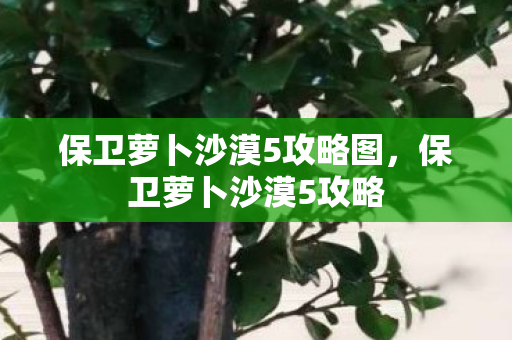 保卫萝卜沙漠5攻略图，保卫萝卜沙漠5攻略