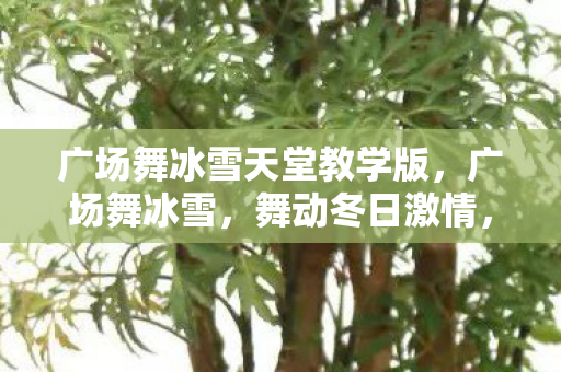 广场舞冰雪天堂教学版,广场舞冰雪,舞动冬日激情,点燃社区活力 广场舞冰雪天堂教学版,广场舞冰雪,舞动冬日激情,点燃社区活力