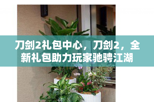 刀剑2礼包中心,刀剑2,全新礼包助力玩家驰骋江湖 刀剑2礼包中心,刀剑2,全新礼包助力玩家驰骋江湖