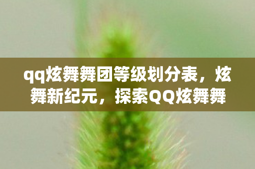 qq炫舞舞团等级划分表，炫舞新纪元，探索QQ炫舞舞团的无限可能