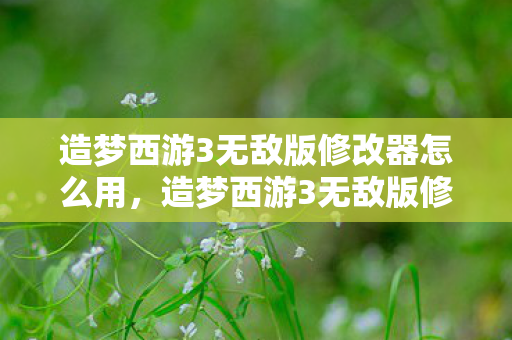 造梦西游3无敌版修改器怎么用,造梦西游3无敌版修改器,解锁无限可能的冒险之旅 造梦西游3无敌版修改器怎么用,造梦西游3无敌版修改器,解锁无限可能的冒险之旅
