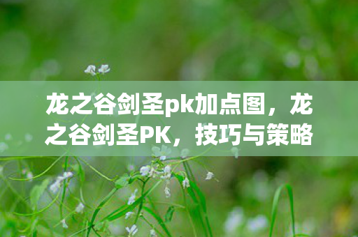 龙之谷剑圣pk加点图，龙之谷剑圣PK，技巧与策略的深度剖析