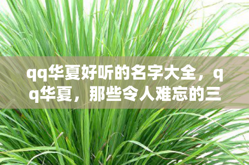 qq华夏好听的名字大全,qq华夏,那些令人难忘的三个字以上名字 qq华夏好听的名字大全,qq华夏,那些令人难忘的三个字以上名字