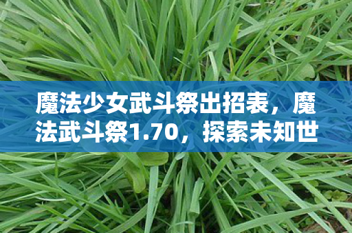 魔法少女武斗祭出招表,魔法武斗祭1.70,探索未知世界的奇幻之旅 魔法少女武斗祭出招表,魔法武斗祭1.70,探索未知世界的奇幻之旅
