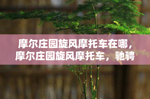 摩尔庄园旋风摩托车在哪,摩尔庄园旋风摩托车,驰骋在梦幻庄园的极速之旅 摩尔庄园旋风摩托车在哪,摩尔庄园旋风摩托车,驰骋在梦幻庄园的极速之旅
