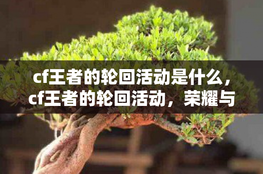 cf王者的轮回活动是什么,cf王者的轮回活动,荣耀与梦想的交织 cf王者的轮回活动是什么,cf王者的轮回活动,荣耀与梦想的交织