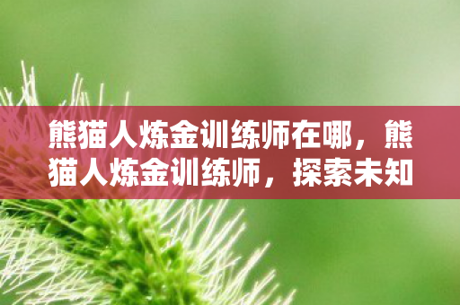 熊猫人炼金训练师在哪，熊猫人炼金训练师，探索未知世界的炼金术士