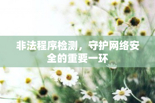 非法程序检测,守护网络安全的重要一环 非法程序检测,守护网络安全的重要一环