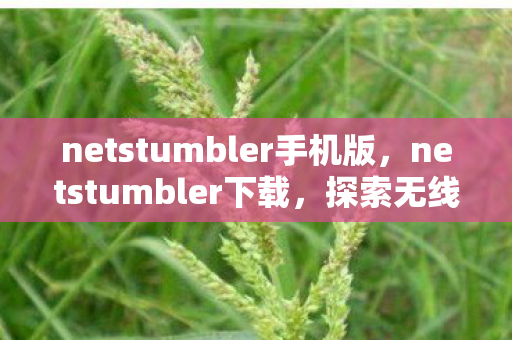 netstumbler手机版,netstumbler下载,探索无线网络的新工具 netstumbler手机版,netstumbler下载,探索无线网络的新工具