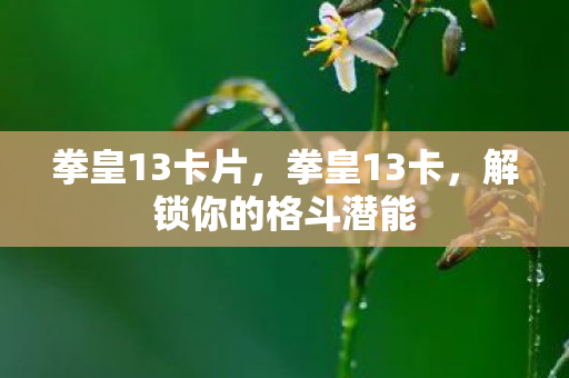 拳皇13卡片，拳皇13卡，解锁你的格斗潜能