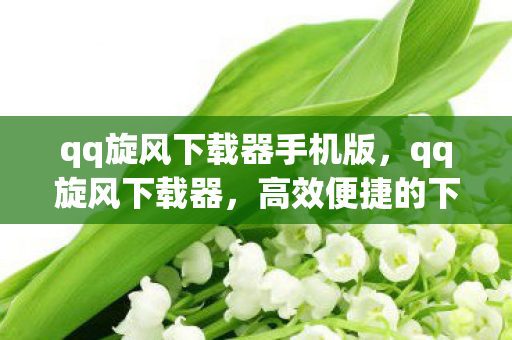 qq旋风下载器手机版，qq旋风下载器，高效便捷的下载新选择