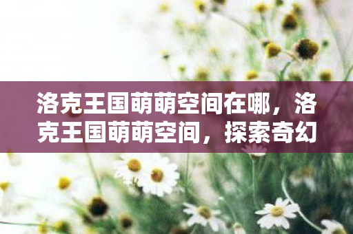 洛克王国萌萌空间在哪，洛克王国萌萌空间，探索奇幻王国的奇妙之旅