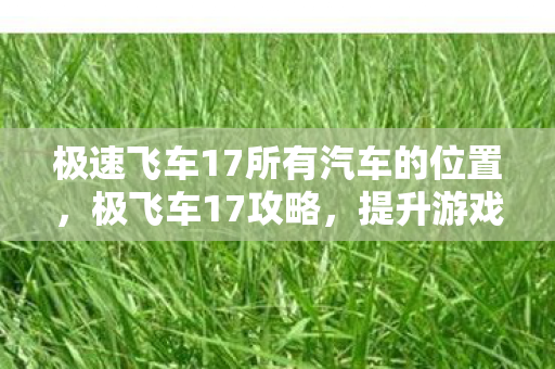 极速飞车17所有汽车的位置,极飞车17攻略,提升游戏技巧与体验的全面指南 极速飞车17所有汽车的位置,极飞车17攻略,提升游戏技巧与体验的全面指南