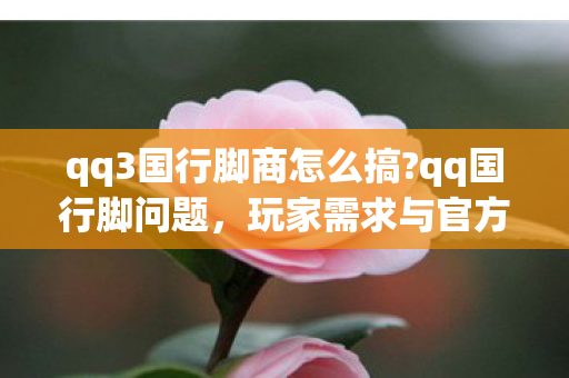 qq3国行脚商怎么搞?qq国行脚问题,玩家需求与官方回应的探讨 qq3国行脚商怎么搞?qq国行脚问题,玩家需求与官方回应的探讨