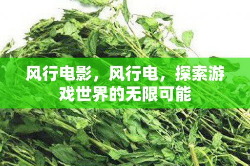 风行电影,风行电,探索游戏世界的无限可能 风行电影,风行电,探索游戏世界的无限可能