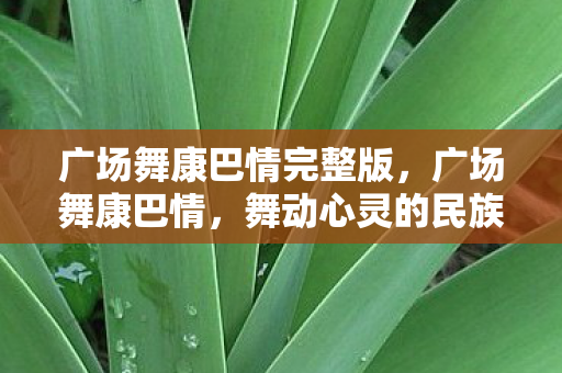 广场舞康巴情完整版，广场舞康巴情，舞动心灵的民族风情