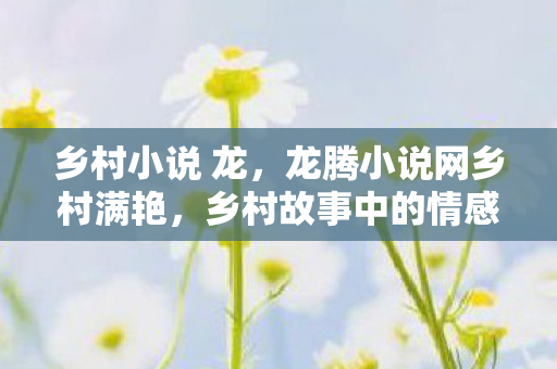乡村小说 龙，龙腾小说网乡村满艳，乡村故事中的情感与人性