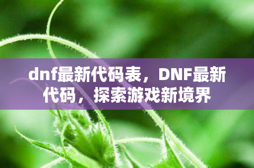 dnf最新代码表,DNF最新代码,探索游戏新境界 dnf最新代码表,DNF最新代码,探索游戏新境界