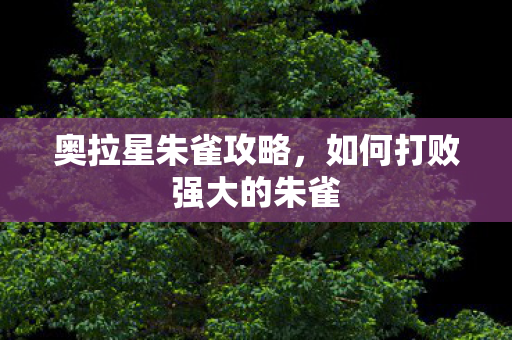 奥拉星朱雀攻略,如何打败强大的朱雀 奥拉星朱雀攻略,如何打败强大的朱雀