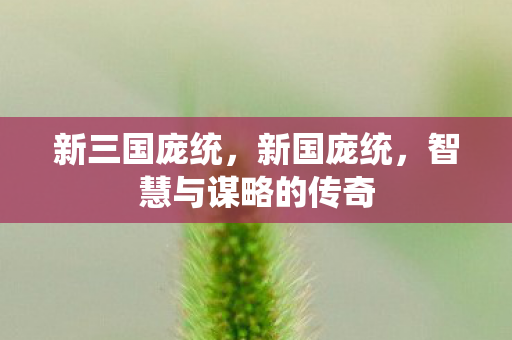 新三国庞统,新国庞统,智慧与谋略的传奇 新三国庞统,新国庞统,智慧与谋略的传奇