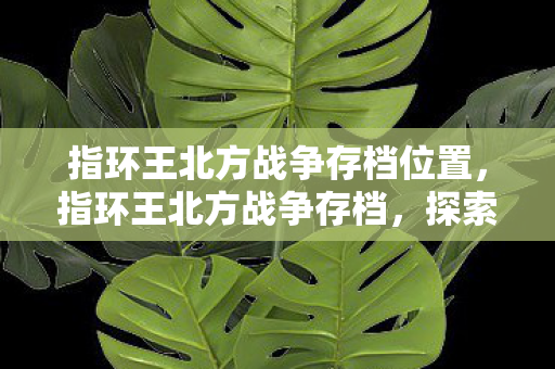 指环王北方战争存档位置,指环王北方战争存档,探索史诗般的游戏历程 指环王北方战争存档位置,指环王北方战争存档,探索史诗般的游戏历程