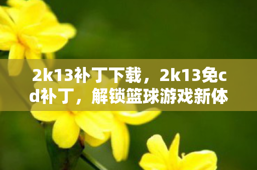 2k13补丁下载,2k13免cd补丁,解锁篮球游戏新体验 2k13补丁下载,2k13免cd补丁,解锁篮球游戏新体验