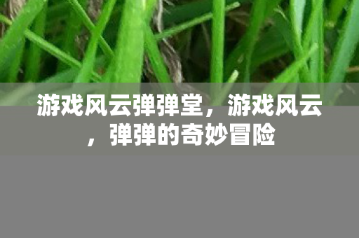 游戏风云弹弹堂,游戏风云,弹弹的奇妙冒险 游戏风云弹弹堂,游戏风云,弹弹的奇妙冒险