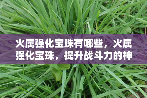 火属强化宝珠有哪些,火属强化宝珠,提升战斗力的神秘法宝 火属强化宝珠有哪些,火属强化宝珠,提升战斗力的神秘法宝