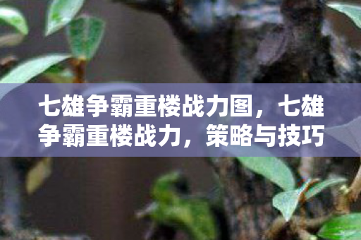 七雄争霸重楼战力图,七雄争霸重楼战力,策略与技巧的深度剖析 七雄争霸重楼战力图,七雄争霸重楼战力,策略与技巧的深度剖析