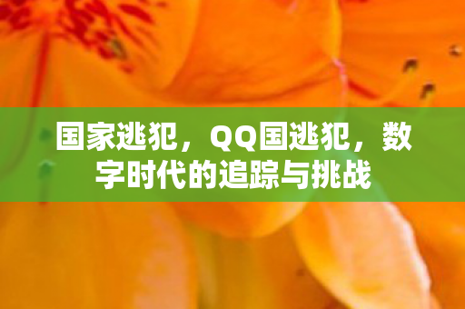 国家逃犯,QQ国逃犯,数字时代的追踪与挑战 国家逃犯,QQ国逃犯,数字时代的追踪与挑战