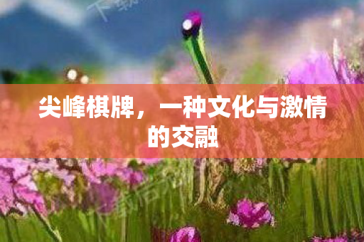 尖峰棋牌,一种文化与激情的交融 尖峰棋牌,一种文化与激情的交融