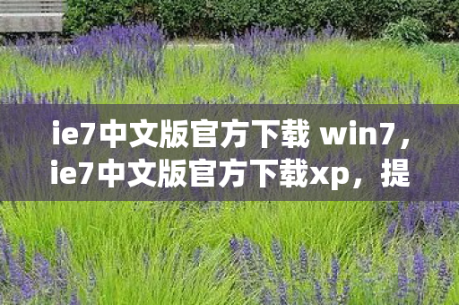 ie7中文版官方下载 win7,ie7中文版官方下载xp,提升工作效率与用户体验的必备工具 ie7中文版官方下载 win7,ie7中文版官方下载xp,提升工作效率与用户体验的必备工具