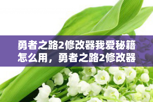 勇者之路2修改器我爱秘籍怎么用,勇者之路2修改器,解锁无限可能的冒险之旅 勇者之路2修改器我爱秘籍怎么用,勇者之路2修改器,解锁无限可能的冒险之旅