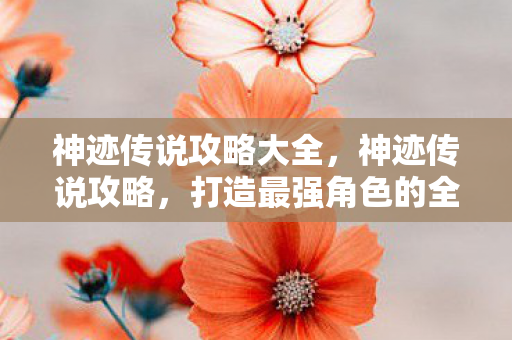 神迹传说攻略大全,神迹传说攻略,打造最强角色的全面指南 神迹传说攻略大全,神迹传说攻略,打造最强角色的全面指南
