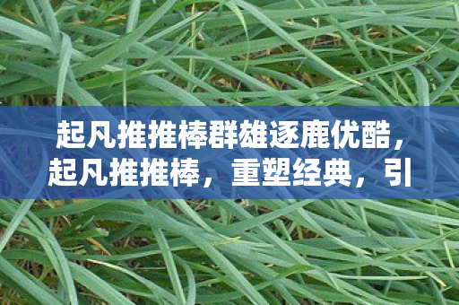 起凡推推棒群雄逐鹿优酷,起凡推推棒,重塑经典,引领游戏新风尚 起凡推推棒群雄逐鹿优酷,起凡推推棒,重塑经典,引领游戏新风尚