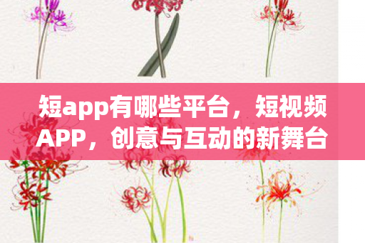 短app有哪些平台,短视频APP,创意与互动的新舞台 短app有哪些平台,短视频APP,创意与互动的新舞台